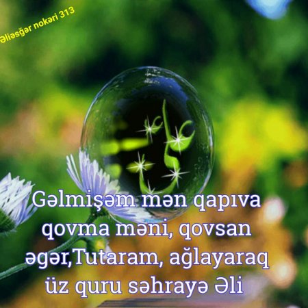 İmam Əli (ə) haqqında şəkillər